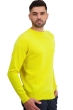 Cashmere uomo girocollo nestor jaune citric l