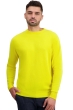 Cashmere uomo girocollo nestor jaune citric m