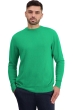 Cashmere uomo gli intramontabile nestor new green xl