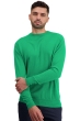 Cashmere uomo gli intramontabile nestor new green xl