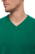 Cashmere uomo maglioni in filato grosso hippolyte 4f verde inglese 2xl