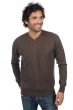 Cashmere uomo scollo a v gaspard marrone chine 